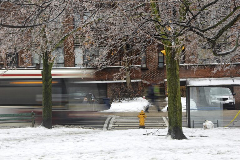 Six Things That Make us Smile on the TTC