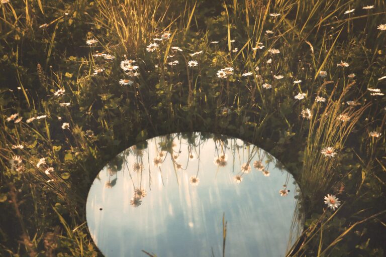 What I Learned in the Past Year as the Executive Director for pointA